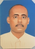midobee